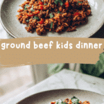 Easy and Delicious Ground Beef Recipes Kids Will Love for Dinner