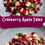 Fresh and Fruity Cranberry Apple Salad Recipe for Every Season